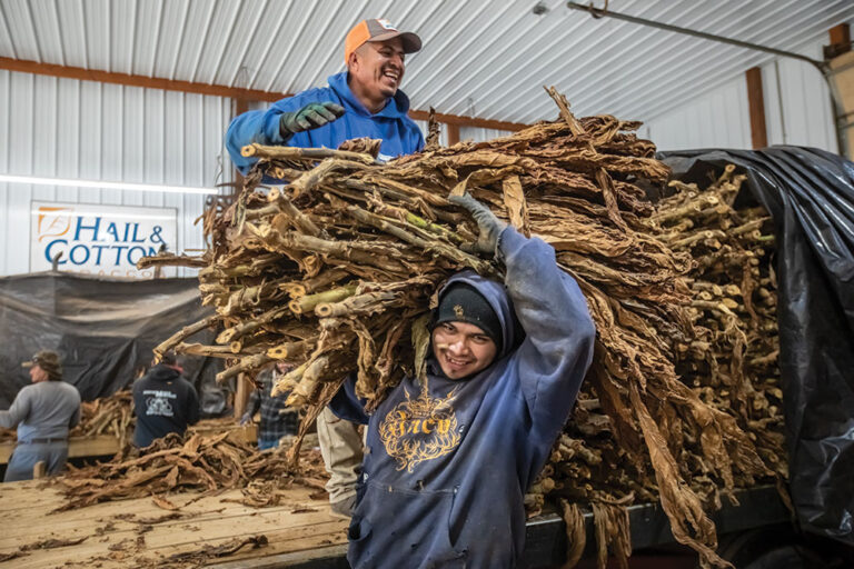 Robertson County, Tennessee