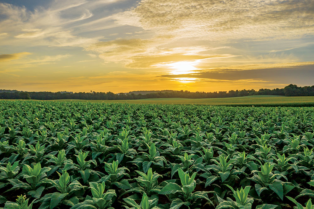 Robertson County, Tennessee