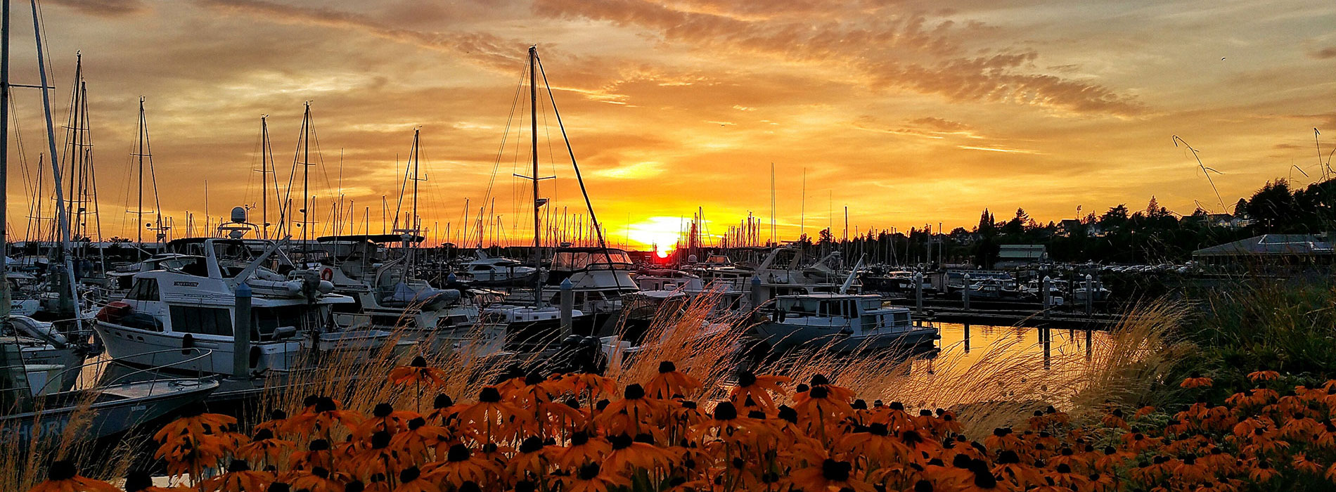 Bellingham, WA sunset over the Marina