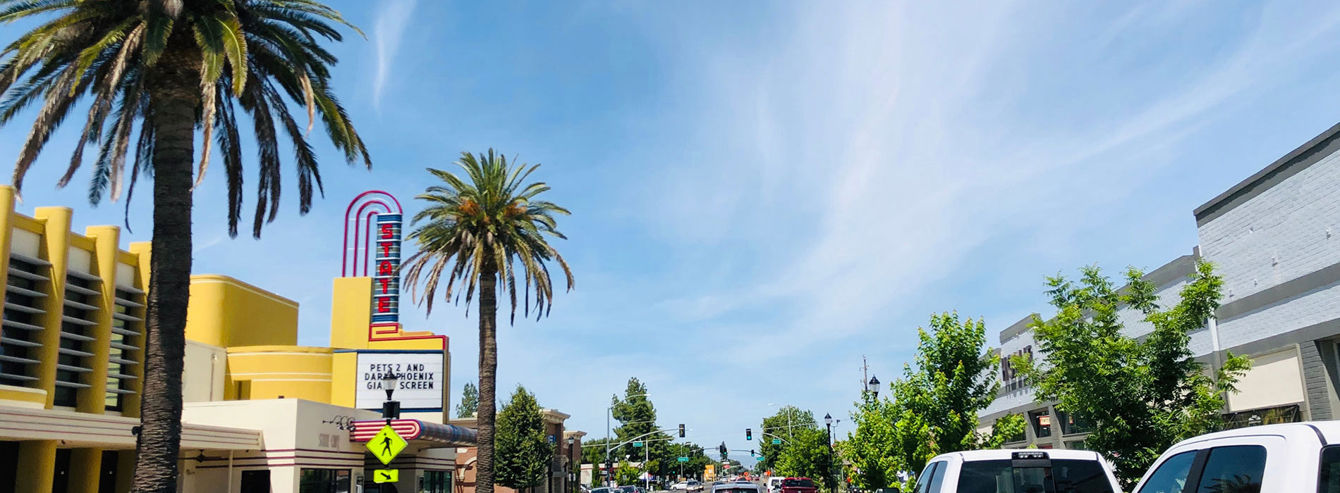 Woodland, CA palm tree-lined street