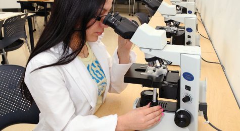 student working in lab