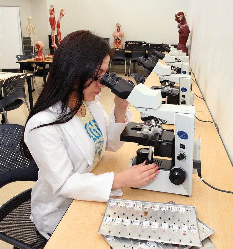 student working in lab