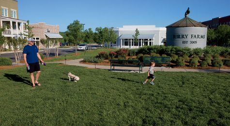 Berry Farms in Franklin, TN