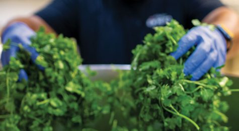 Apple Canyon Gourmet in New Mexico