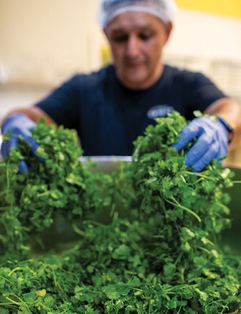 Apple Canyon Gourmet in New Mexico