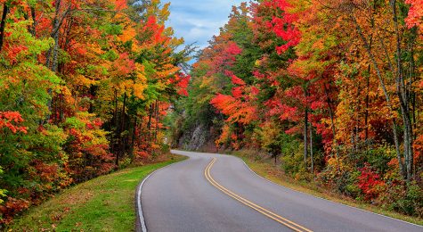 Autumn colors along the Foothills Parkway near Gatlinburg, Tennessee