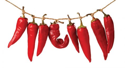 chili peppers in New Mexico