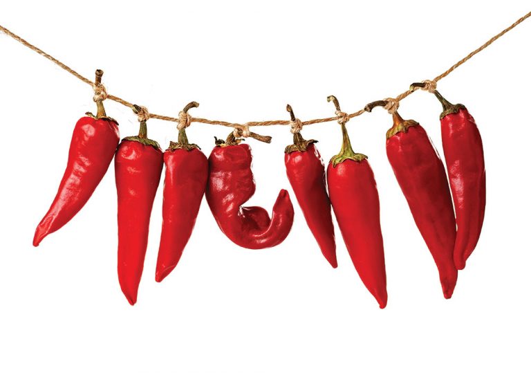 chili peppers in New Mexico