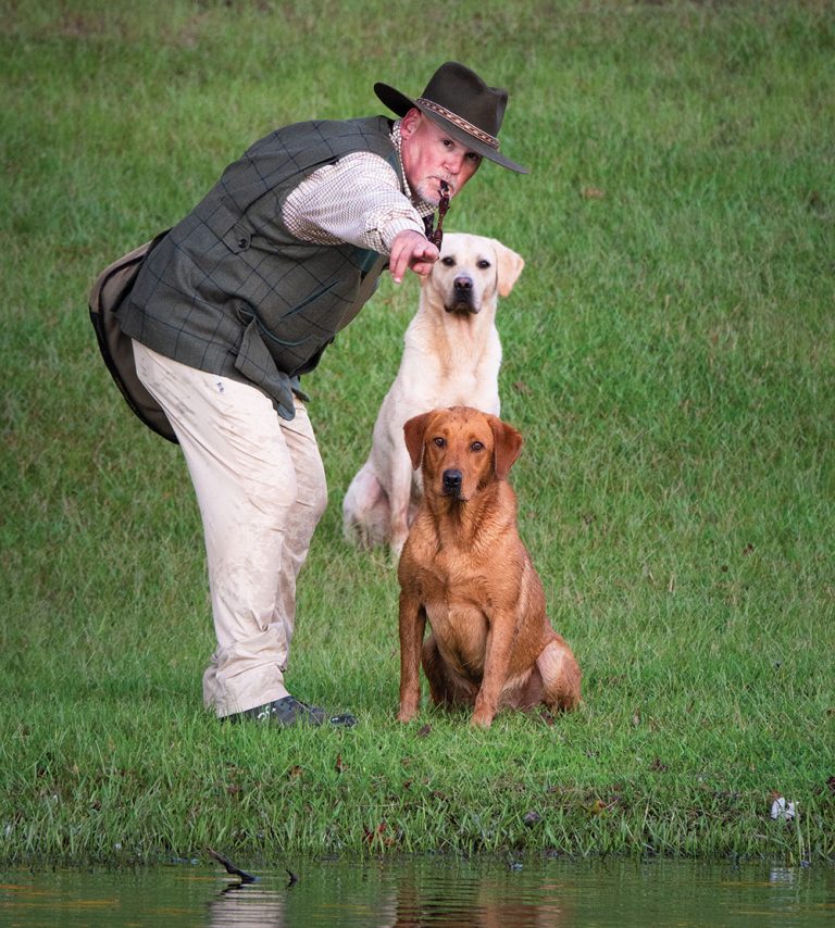 Wildrose Kennels in Oxford, MS