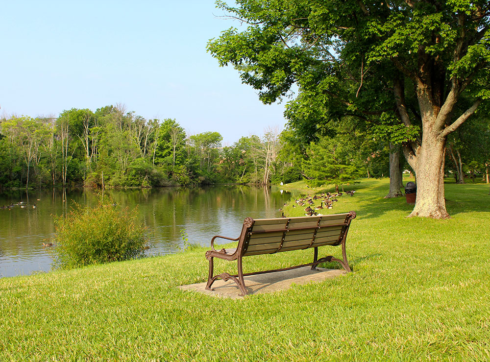 bench overlooking pond