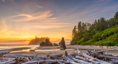 Olympic National Park, Washington