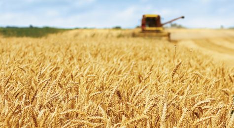 Representing agriculture in Southern Idaho