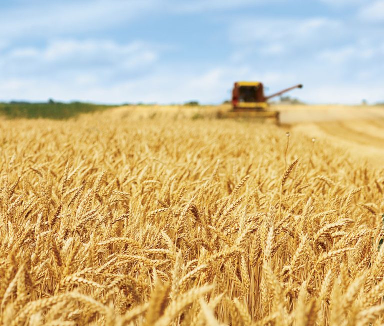 Representing agriculture in Southern Idaho
