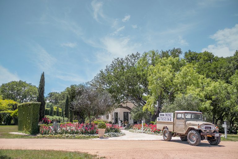Signor Vineyards in Fredericksburg, TX