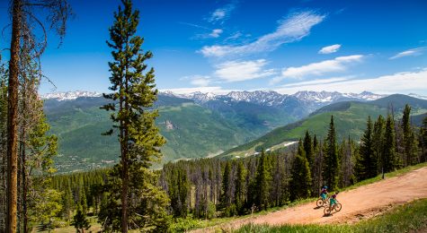 A pair of mountain bikers ride up a dirt path on a sunny summer day in Vail, Colorado.