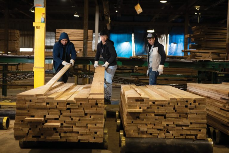 Esdras Velasquez, in black, stacks freshly sawn lumber with Nicolas Mejia, in blue, at the Frank Miller Lumber Company in Union City.
