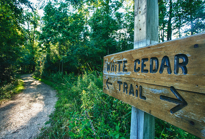 Hiking trail in Appleton, WI.