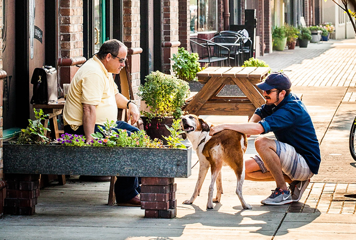 Downtown with dog in Beaverton OR