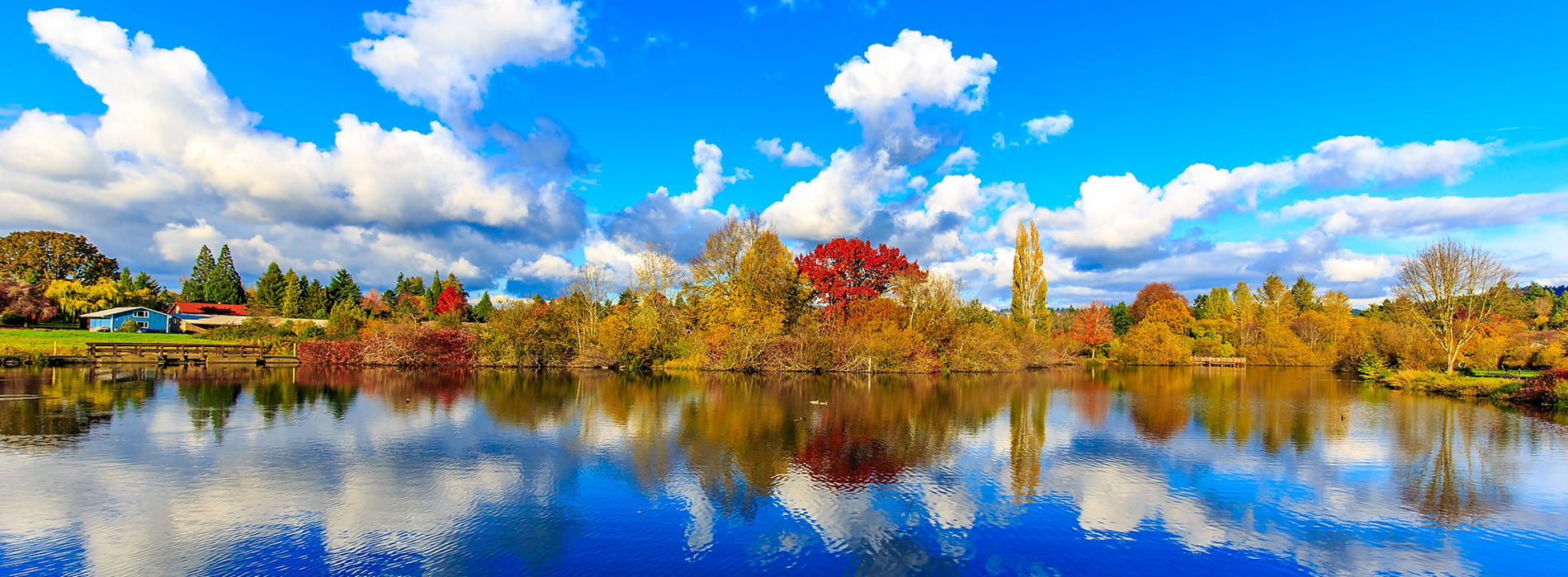 Commonwealth Lake Park in Beaverton OR