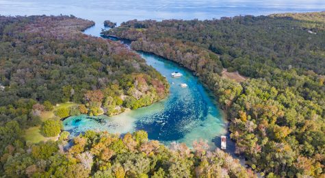 Silver Glen Springs is a first-magnitude spring that empties into Lake George and the St. Johns River.