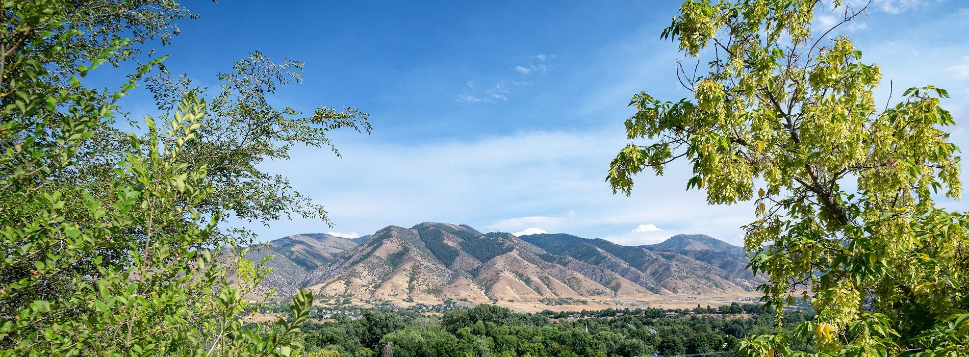 Mountain Logan in Logan UT