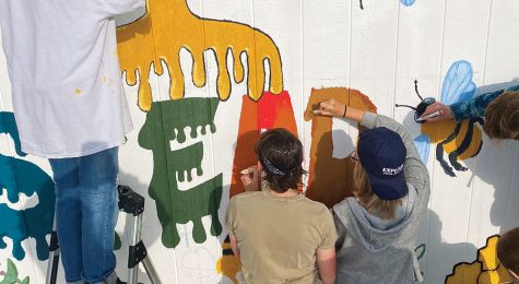 STEAD School in Adams County, CO