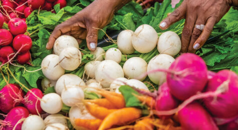 Agriculture plays a vital role in Pennsylvania's economy.