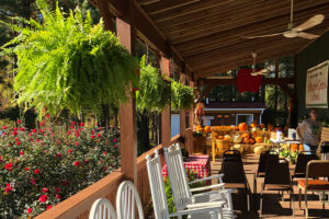 Front porch rocking chairs at Millstone Creek Orchards in Asheboro, NC