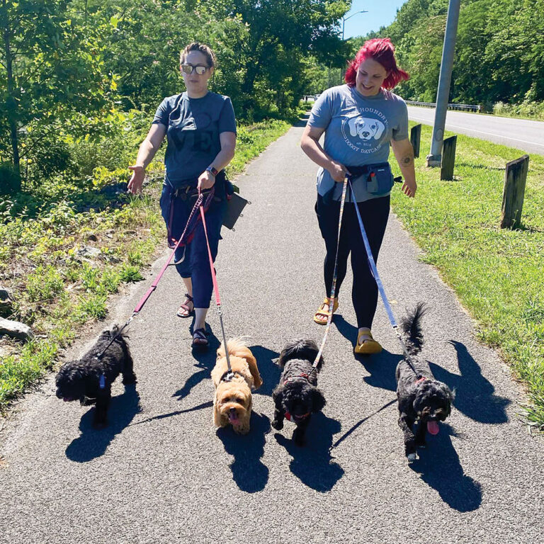The Houndry team and their four-legged friends in Oak Ridge, TN