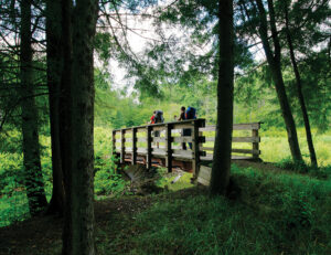Hiking the Allegheny National Forest in Pennsylvania