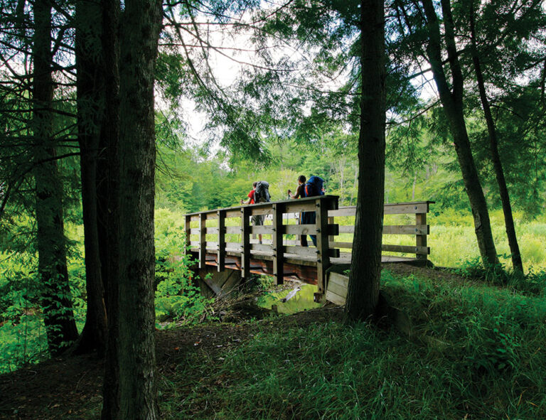 Hiking the Allegheny National Forest in Pennsylvania