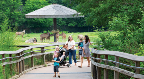 People walk through the African section at Caldwell Zoo in Tyler, Texas