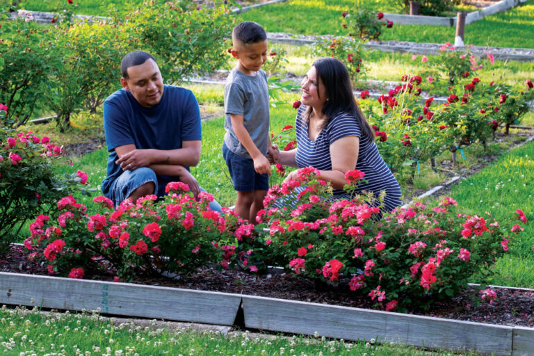 Tyler Rose Garden