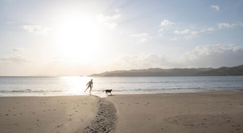 Man walks with boogie board and his dog towards Pacific Ocean in the distance.