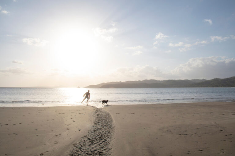 Man walks with boogie board and his dog towards Pacific Ocean in the distance.