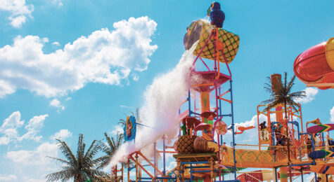 Paradise Island Bucket Splash at Rigby's Water World in the Robins Region of Georgia.