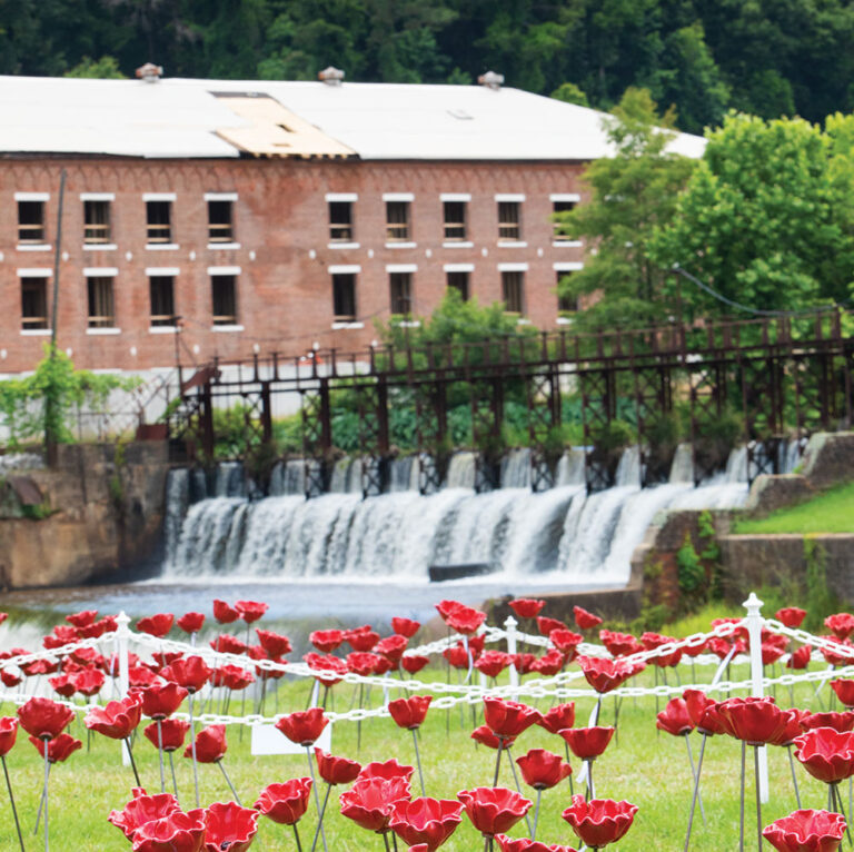 The Alabama Poppy Project in Prattville