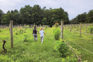 Children run through the fields at Sweet Vines Farm Winery. Sweet Vines Farm is a winery located in Central Virginia.