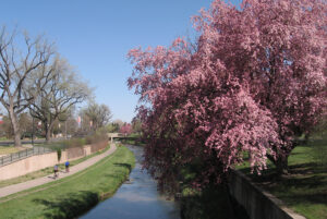 Sidewalk along the Cherry Creek Bike Path. Cherry Creek is a small neighborhood in Denver, CO.