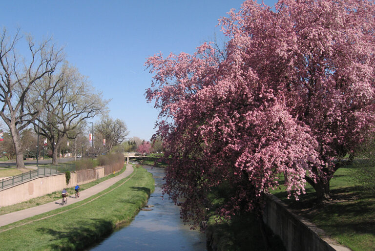 Sidewalk along the Cherry Creek Bike Path. Cherry Creek is a small neighborhood in Denver, CO.