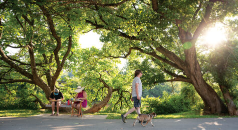 Paula reed and Aaron Grau painting under tree along the French Broad River on the Wilma Dykeman trail in the River Arts District in Asheville, NC. Stephen Cohen walks by them with his dog, Hank.