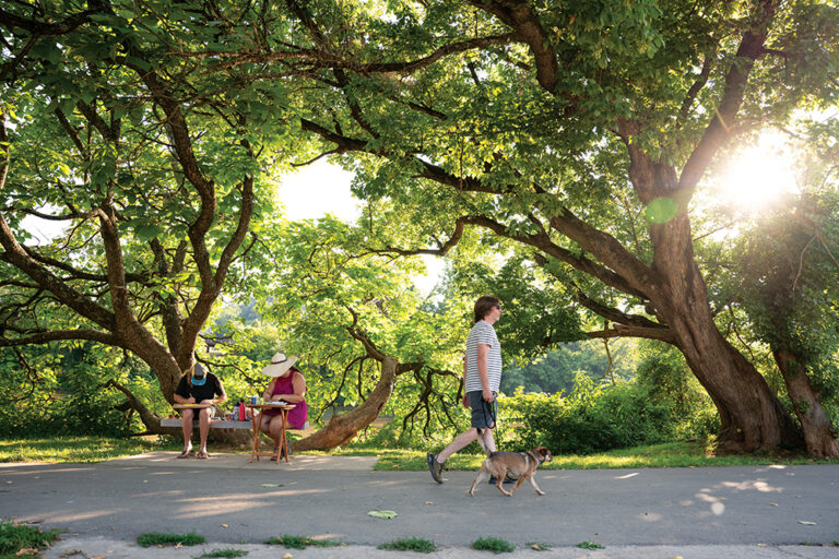 Paula reed and Aaron Grau painting under tree along the French Broad River on the Wilma Dykeman trail in the River Arts District in Asheville, NC. Stephen Cohen walks by them with his dog, Hank.