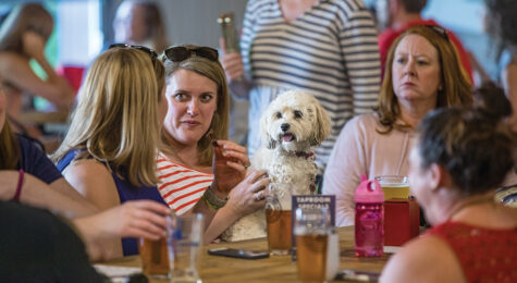 Dogs are welcome guests at Mill Creek Brewing Company in Nolensville, Tennessee. Nolensville is in Williamson County.