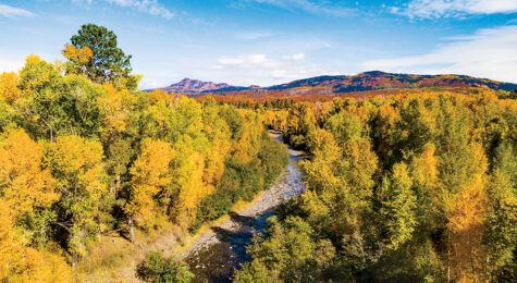 Silver City is one of the best small cities in New Mexico. We require a text credit: New Mexico TRUE The credit needs to accompany each image, either on it or near it, in a reasonably legible size. The images are only for the specific requested use. You may not add the image to any library or archive or share the image with other entities. Any future use of the NM Tourism images will require another request and approval.