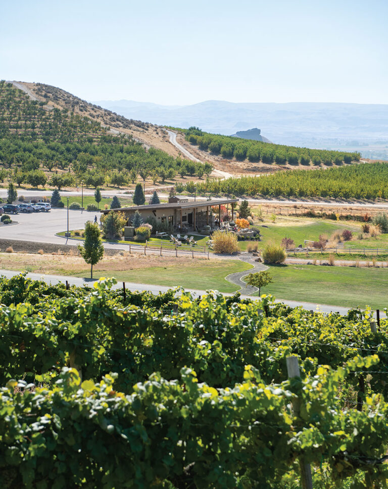 Sawtooth Winery in Idaho.