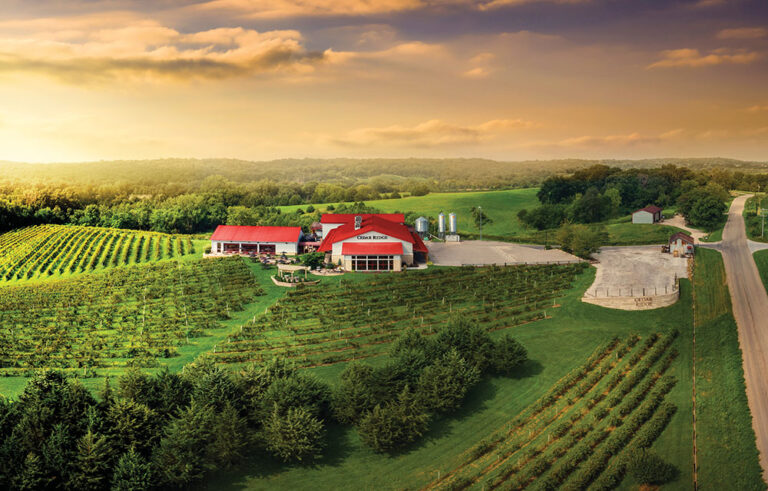 The Cedar Rapids economy is bustling, thanks to industries such as agribusiness, financial services and manufacturing.