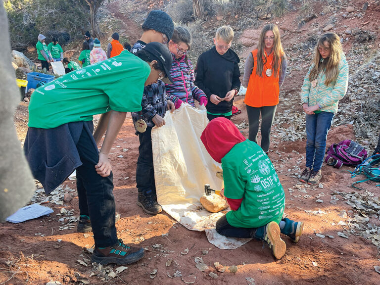 The Culturally and Linguistically Diverse Education program in the Mesa County Valley School District 51
