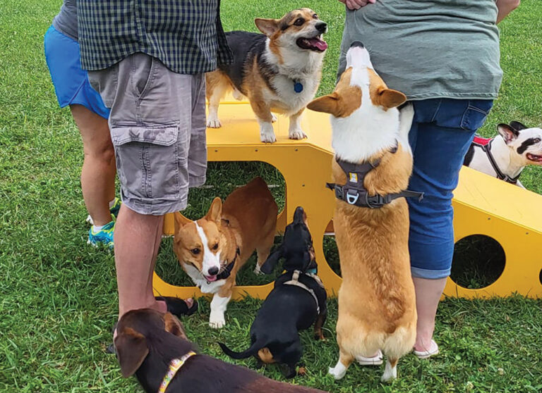 The Bark Park & Patio in Florence. Florence is part of the Northern Kentucky area.