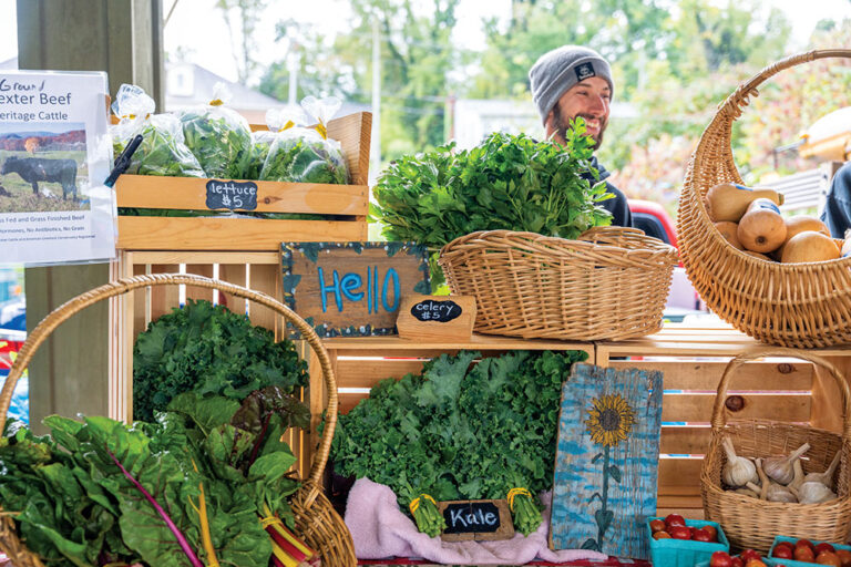 Abingdon Farmers Market in Virginia
