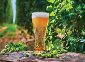 For feature about craft breweries in Puyallup and Sumner, WA